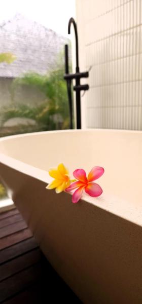 Swaha at Canggu Villa 1